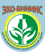Официальный сайт детской некоммерческой организации "ЭХО-БИНИНС"